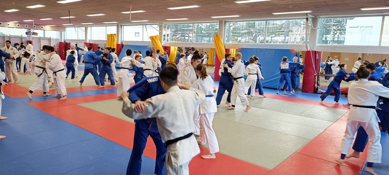 Entrenamientos Judo Navidad - Pamplona 27, 28 y 29 de diciembre 2023
